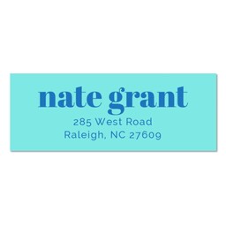 Address Label (Set of 60) with Bold Color Blue design